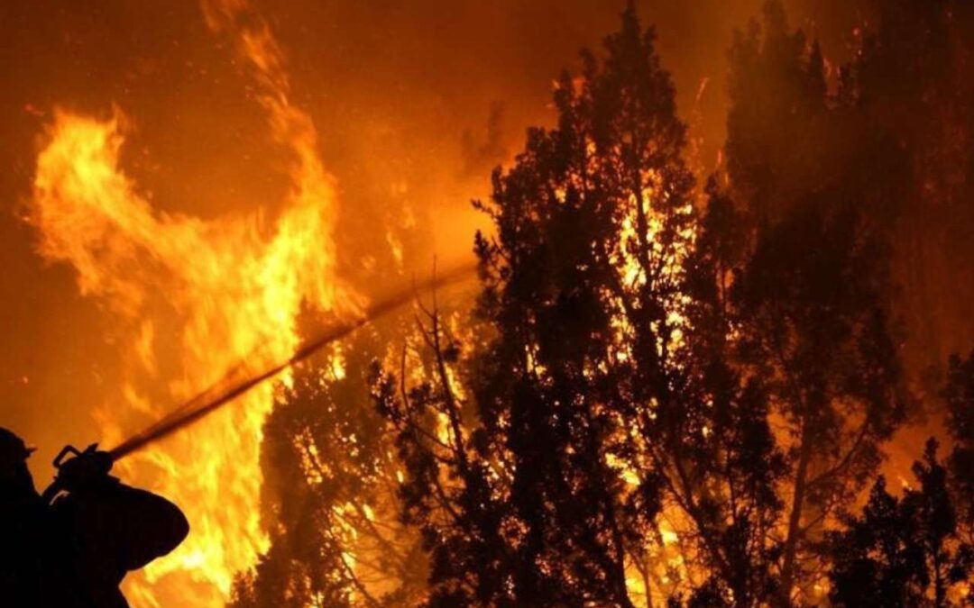 Estrés Térmico e Incendios Forestales